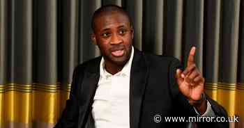 Yaya Toure takes first steps towards management as coaching role confirmed - Mirror Online