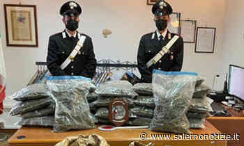 Marijuana nel pacco fermo alla Sda: 41 chili sequestrati nel deposito a Pontecagnano - Salernonotizie.it