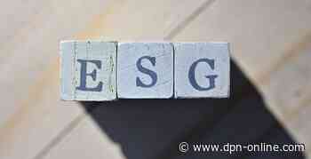 BlueBay Asset Management: 8 ESG-Trends - dpn