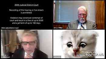 Lawyer gets stuck with cat filter during virtual court case