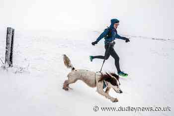 Advice for looking after pets as temperatures plummet - Dudley News