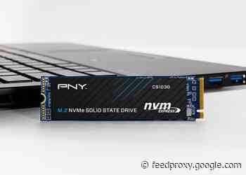 PNY CS1030 Series of affordable M.2 NVMe SSDs introduced