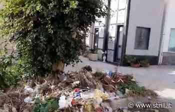 Nucera chiama a raccolta i reggini: “Puliamo il Cimitero di Modena” - strill.it - Strill.it