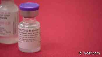 Medical expert think annual COVID vaccine a real possibility - WDEF News 12
