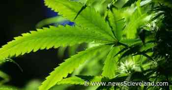 Local mother skeptical Ohio Medical Board will add autism on approved list of conditions for medical marijuana use - News 5 Cleveland
