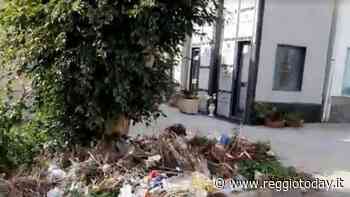 "Puliamo il cimitero di Modena", l'appello ai reggini de "La Calabria che vogliamo" - ReggioToday