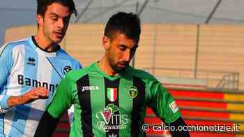 V.Pesaro, Ferrani: “Salvezza a quota 40. Dal Matelica in giù tutte coinvolte” - tuttocalcionews