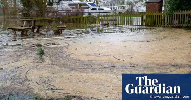 Revealed: no penalties issued under 'useless' UK farm pollution laws