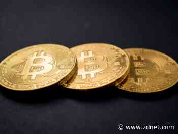 Miami mulls over paying worker salaries in Bitcoin