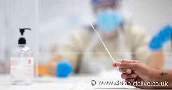 Rapid Covid test booking now open for Northumberland key workers