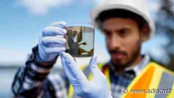 Environmental organisations launch employment scheme for UK's BAME youth