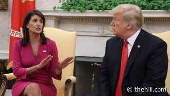 Nikki Haley breaks with Trump: 'We shouldn't have followed him'