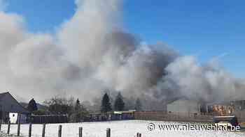 Zware brand in houtzagerij in Aalter: vuur onder controle