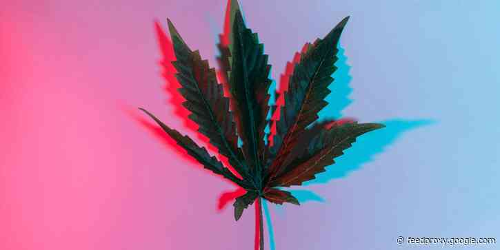 Insider Cannabis: WallStreetBets comes for weed - Cannabis hedge funds post eye-popping returns - What to know about psychedelics