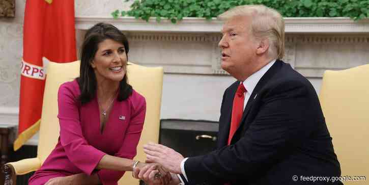 'He's fallen so far': Nikki Haley rips into Trump and says he won't run for federal office again