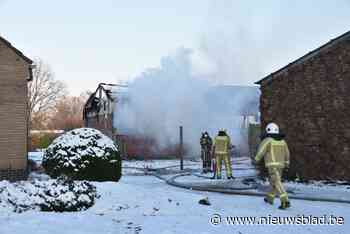 Hevige brand in loods, schaap en lammetje gestorven