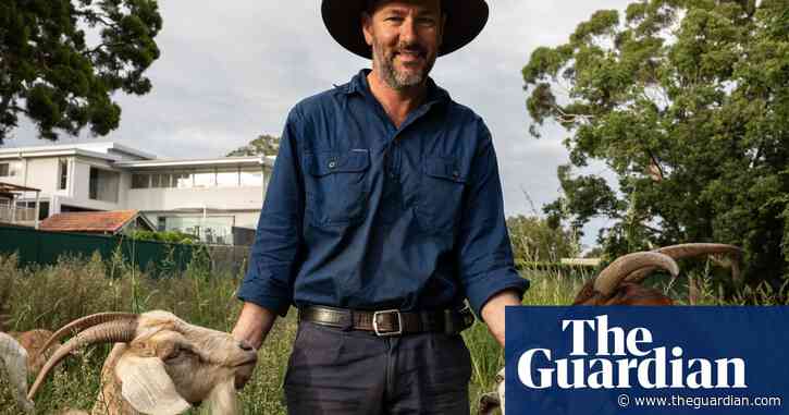 Unstoppable eating machines: why Australian farmers are renting out goats for weed control