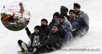 More sledgers take to the snow on the Town Moor despite warning