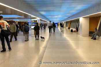 District 3 Candidates Weigh In on Homelessness, Hostile Architecture - New York County Politics