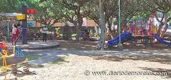 No descarta Cuernavaca Ley Seca - Diario de Morelos