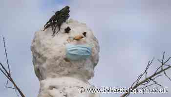 Milder conditions on the way after wintry weekend