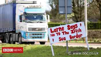 Brexit: Inquiry into suspension of Irish Sea border checks