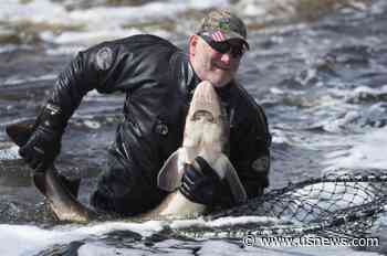 Three More Charged in Sturgeon Caviar Investigation