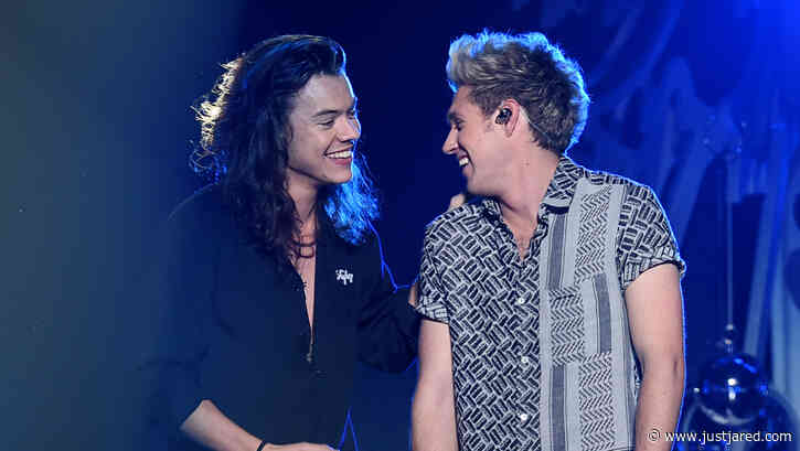 One Direction Fans Freak Out After Harry Styles & Niall Horan Spotted Hiking Together