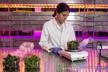 Vertical Future and Heck Food in vertical farming tie-up to 'supercharge' flavour and nutrition - FoodNavigator.com