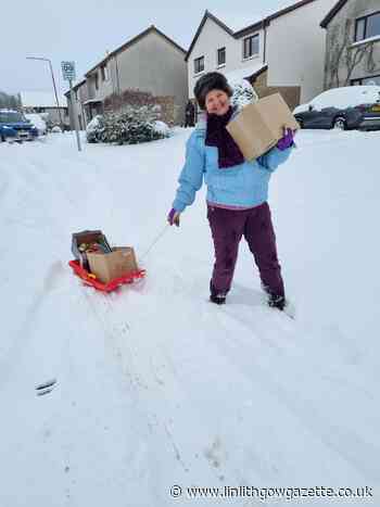 Linlithgow health food shop uses sledge to beat the cold and deliver goods - Linlithgow Journal and Gazette