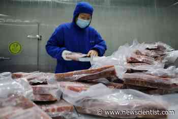 Did the coronavirus really come from frozen food, as the WHO suggests? - New Scientist News