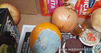 Mouldy fruit, bruised vegetable and tin of custard included in food parcel sent to low income family - Wales Online