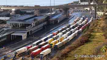 Food exports to EU slumped by as much as 60% in January, MPs told - Sky News