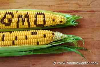 ENGA pushes for non-GMO food labelling across Europe - FoodNavigator.com