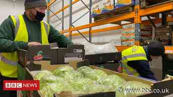 Food traders say Brexit impact 'could get worse' - BBC News