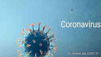 Argentina surpasses 50,000 coronavirus deaths - Anadolu Agency
