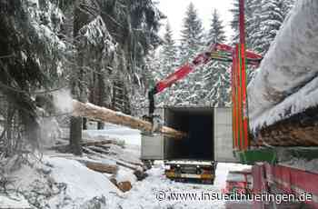 Regionale Wirtschaft: Holz aus dem Thüringer Wald für China - inSüdthüringen
