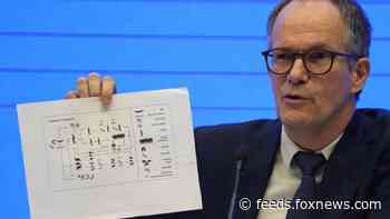 WHO's China coronavirus probe triggers reaction