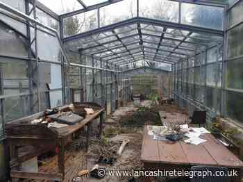 New campaign to restore abandoned Blackburn greenhouses