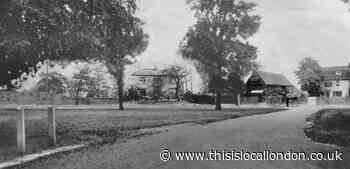 Compare pictures of rural scene in north-east London in 1925 with modern day
