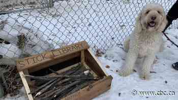 Saskatoon family creates 'stick library' for neighbourhood dogs - CBC.ca