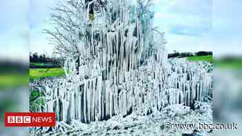 Weather: 'Fantastic' ice formations line Welsh roadsides