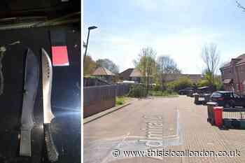 Two arrested after damaging cars in Orpington
