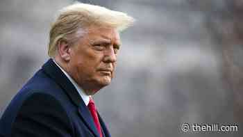 Questions build over Trump's knowledge of Capitol attack