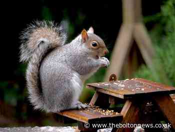 Photos reveal the natural wonders in and around Bolton