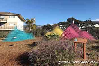 Public Art Brightens Isla Vista’s Pardall Gardens With Spring Colors - Noozhawk
