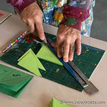 Freeman Arts Pavilion launches latest Arts Access Initiative - CapeGazette.com