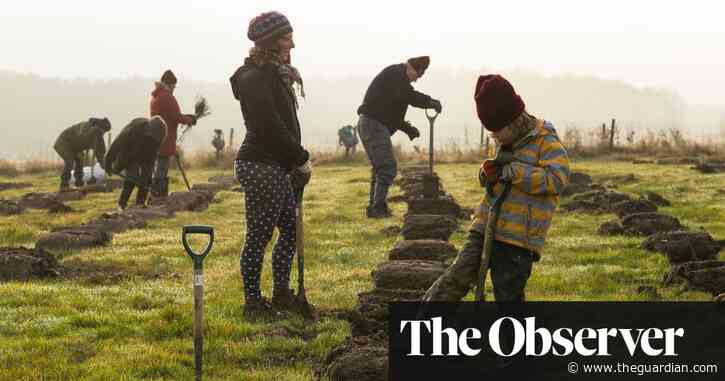 Digging in: a million trees planted as villages and schools join climate battle