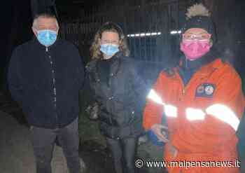 Samarate - Gatti morti a Samarate, si teme un'azione premeditata - malpensanews.it