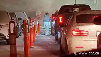 Coronavirus variant puts N.L. back in lockdown; in-person voting in provincial election suspended